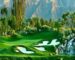 images5